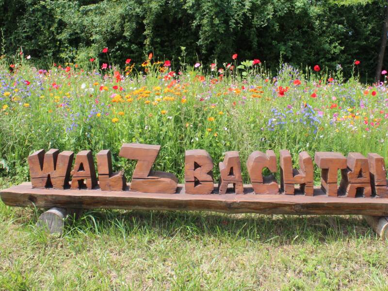 Walzbachtal Schriftzug aus Holz. Im Hintergrund eine Blumenwiese