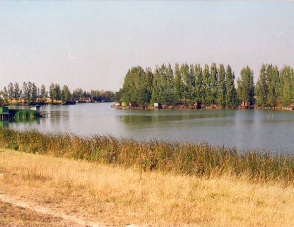 See im Vordergrund, Ufer von Bäumen gesäumt