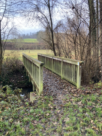 Brücke über den Walzbach