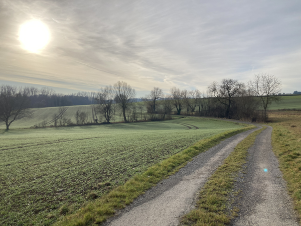 Wanderweg hin zum Linsenbäumle