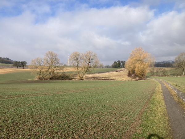 Blick in die Landschaft am am Wanderweg