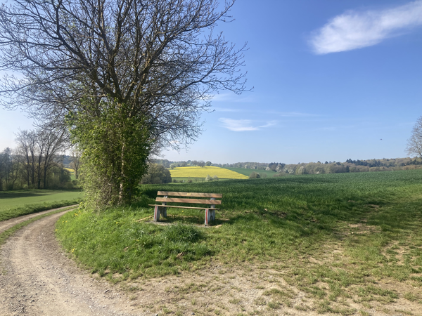 Blick auf eine der Ruhebänke