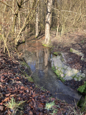 LSG Erlach