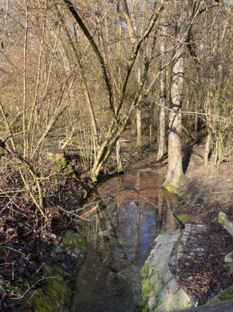 LSG Erlach