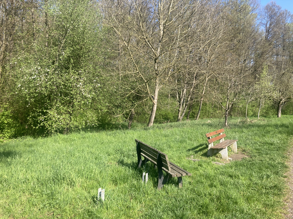 Ruhebänke an der Feuchtwiese