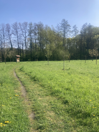 Blick auf as Insektenhotel