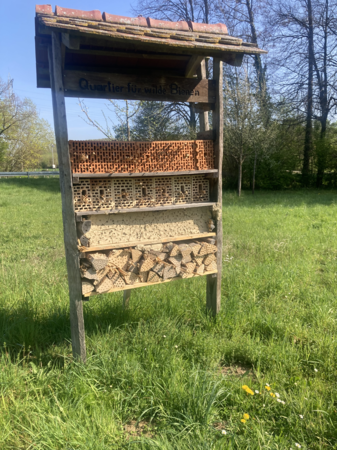 Insektenhotel im Frühling