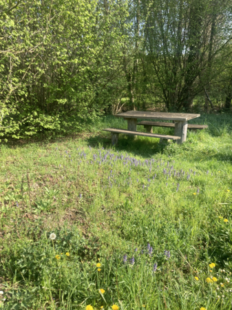 Nahegelegene Sitzmöglichkeit