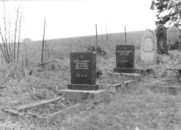 Bild eines Grabsteins vom Jüdischen Friedhof