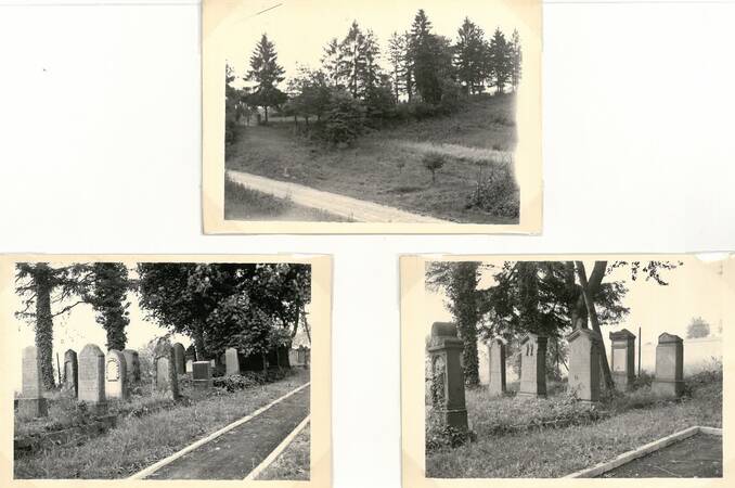 Archivfotos vom jüdischen Friedhof