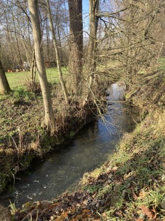 Foto vom Walzbach im Frühling
