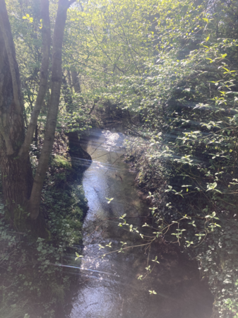 Der Walzbach im Frühling