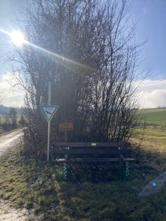 Linsenbäumle im Winder
