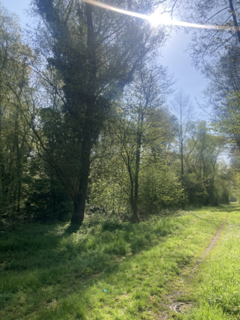 Der WAnderweg am Mönchsbrunnen
