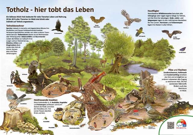 Tafel Tothol - hier tobt das Leben