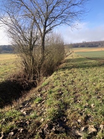 Wiesengraben im Winter