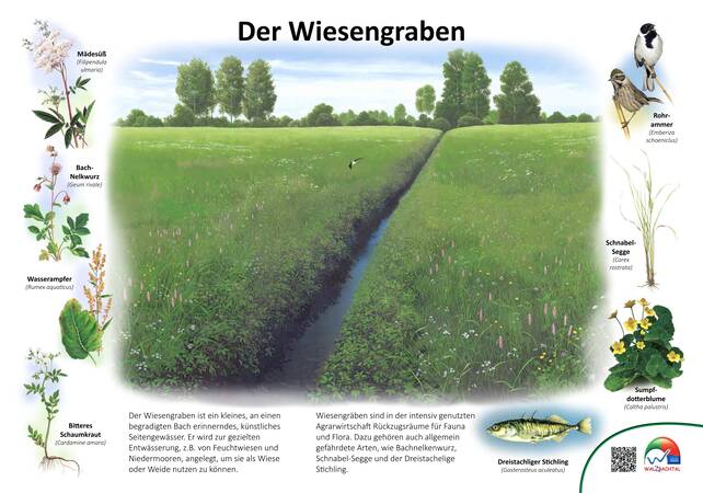 Infoschild Wiesengraben