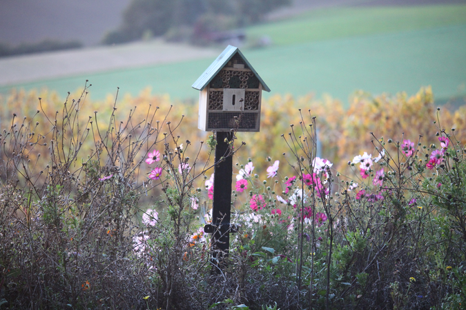 Insektenhotel auf Wiese mit Feldern im Hintergrund