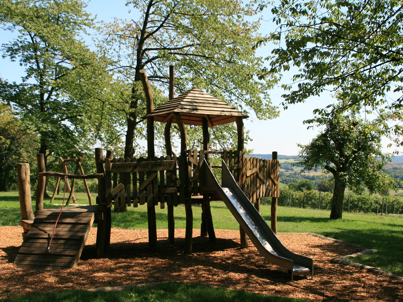 Spielgerät im Wald