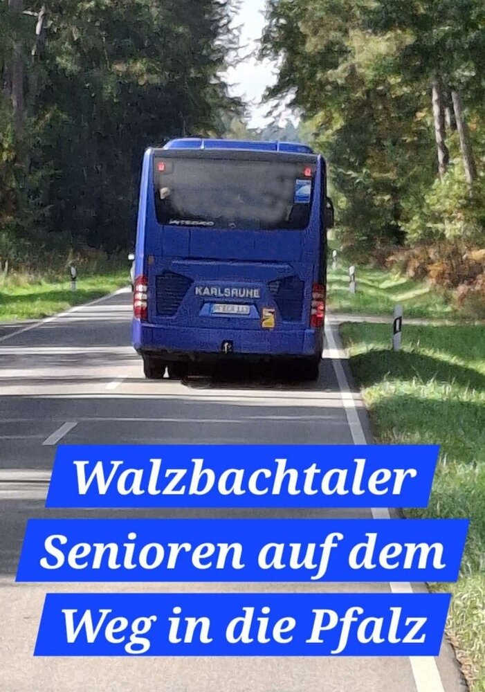 Blauer Bus von hinten auf Straße