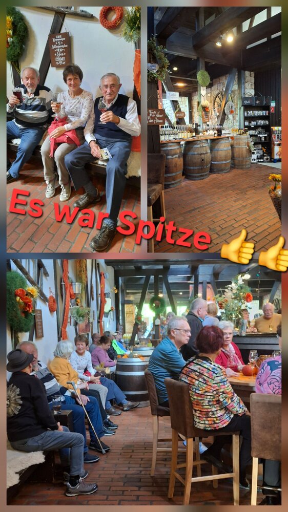Collage von Senioren in verschiedenen Lokalitäten