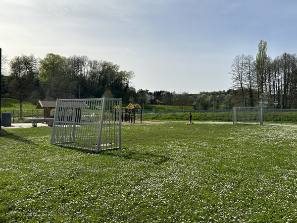 Bolzplatz grüne Wiese mit zwei Toren, dahinter eine Hütte