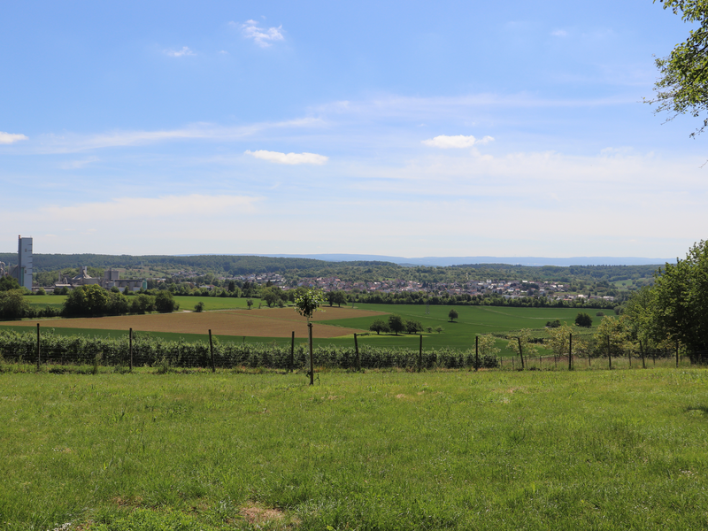 Wiese, in der Ferne Häuser und der Turm des Zementwerkes zu erkennen.