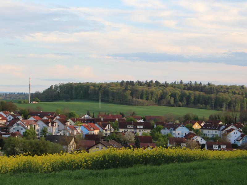 Blick auf ein Wohngebiet. Davor Wiese und ein Rapsfeld, dahinter Wald