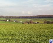 Blick von einem Hügel auf die Siedlung Binsheim